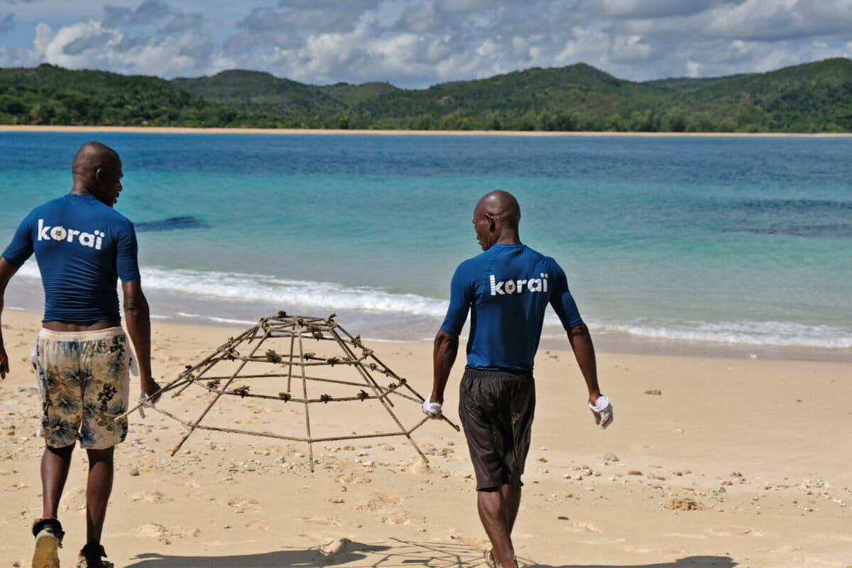 From exporting coral to restoring reefs, a Madagascar startup rethinks business