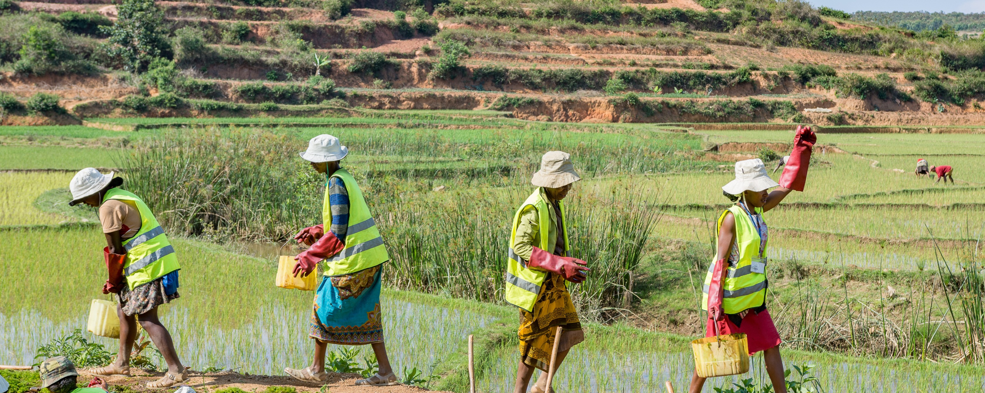 Employment-Intensive Investment in Madagascar
